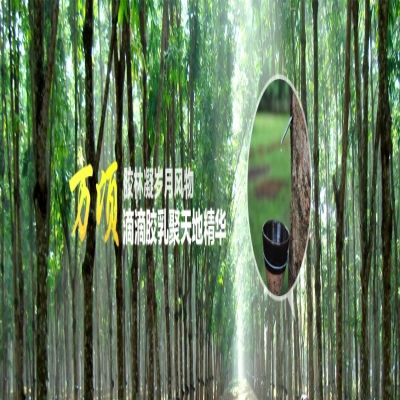 RFID橡膠樹防護防盜管理系統